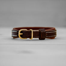 Charger l'image dans la galerie, Collier marron pour chien