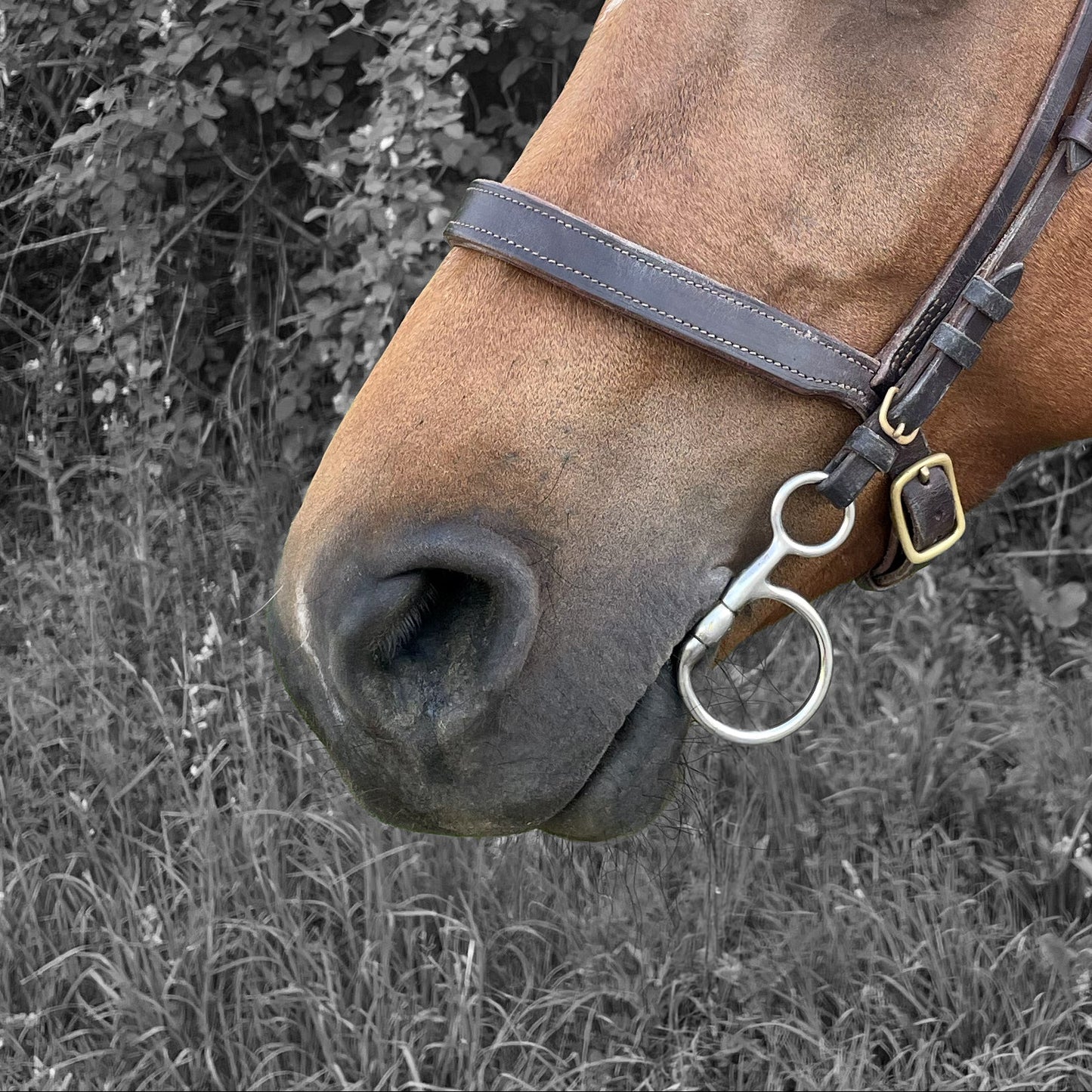 Muserolle de chasse sur mesure
