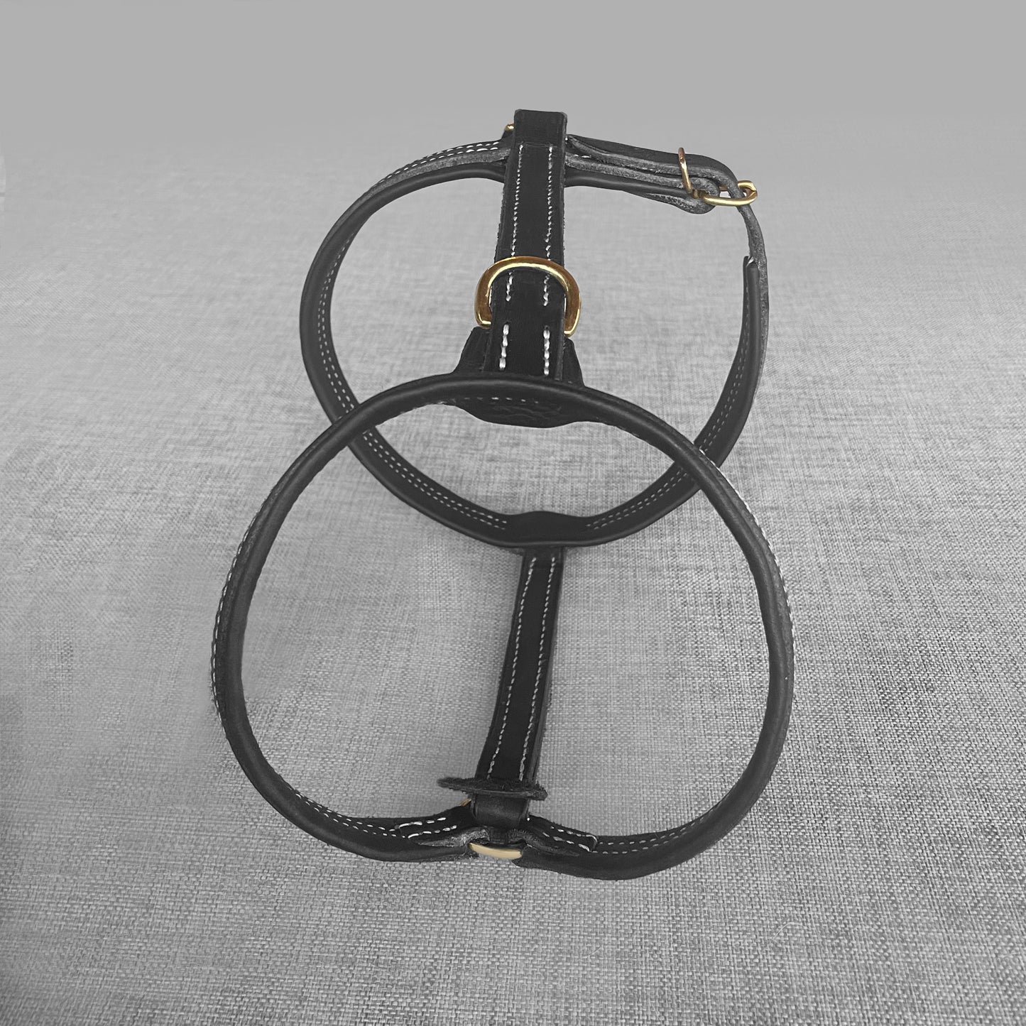 Harnais cuir chien noir sur mesure
