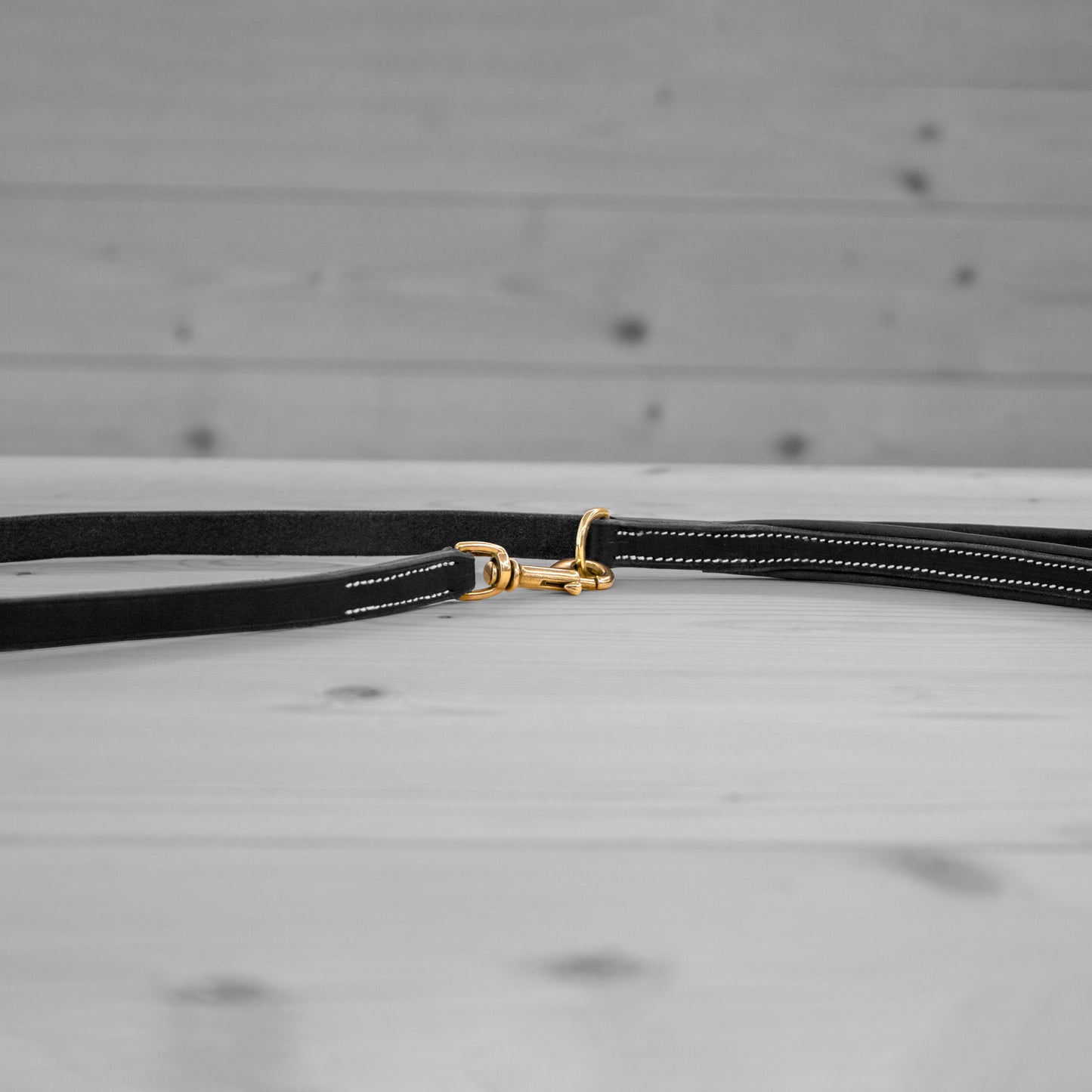 Laisse noire pour chien