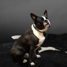 Charger l'image dans la galerie, Collier noir et marron pour chien