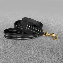 Charger l'image dans la galerie, Laisse noire pour chien