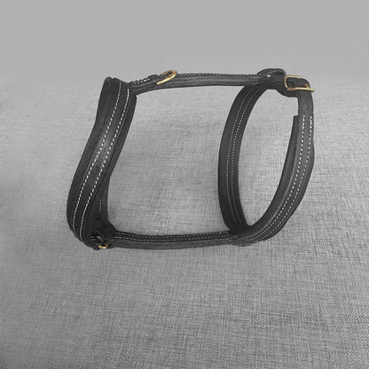 Harnais cuir chien noir sur mesure