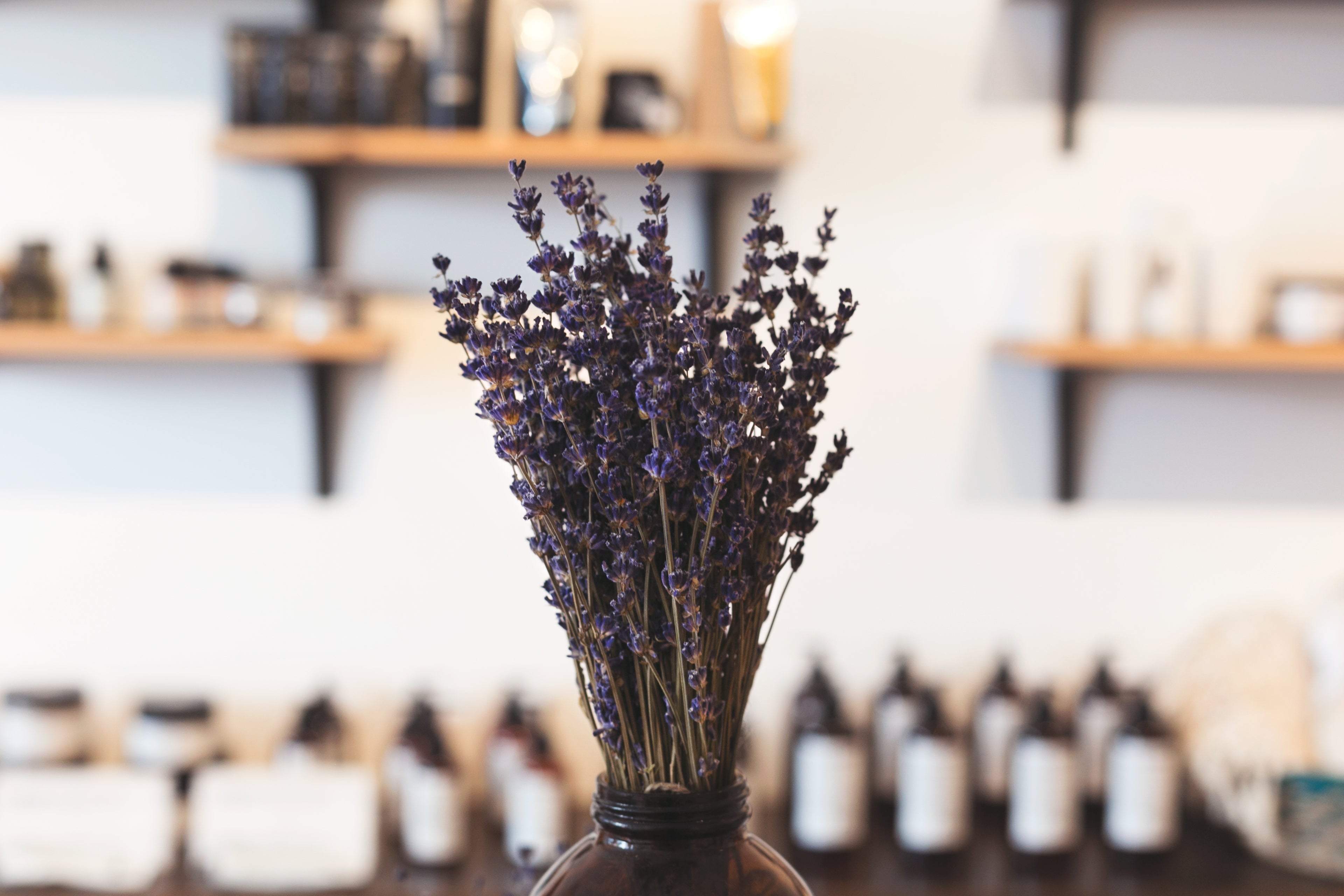 Bouquet de lavande séchée dans la boutique, entouré des flacons d'entretien cuir Ruffieux Création