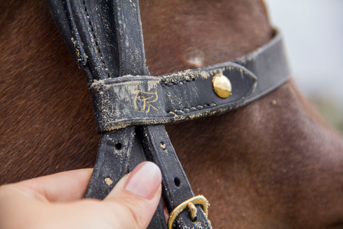 Gros plan sur une sangle en cuir noir avec rivet dore ajustee sur la tete d'un cheval