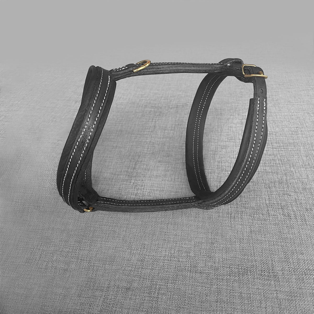 Harnais pour chien en cuir noir avec boucles dorees, pose a plat