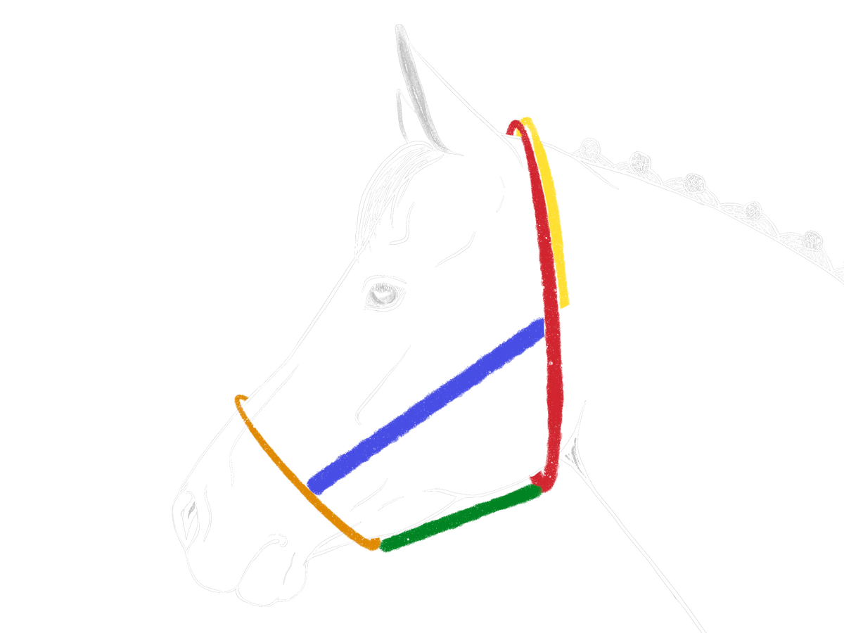 Illustration schematique d'une tete de cheval avec bride complete, lignes de mesure colorees pour chaque sangle
